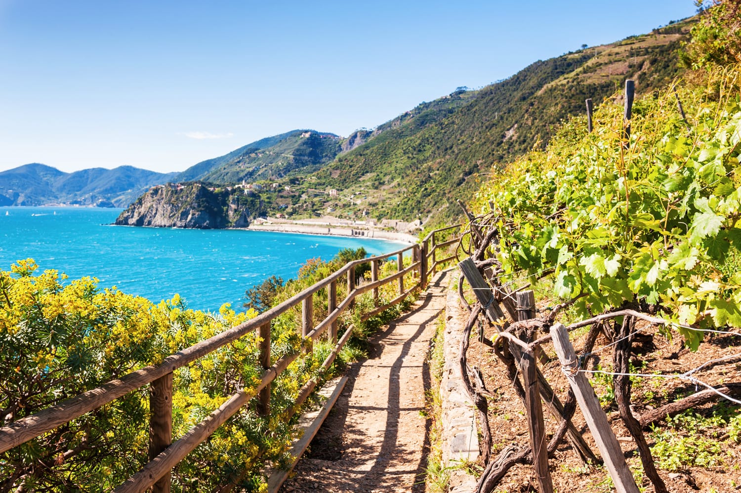 Hermosa vista de los viñedos, el mar y las montañas.  Cinque Terre, Italia.