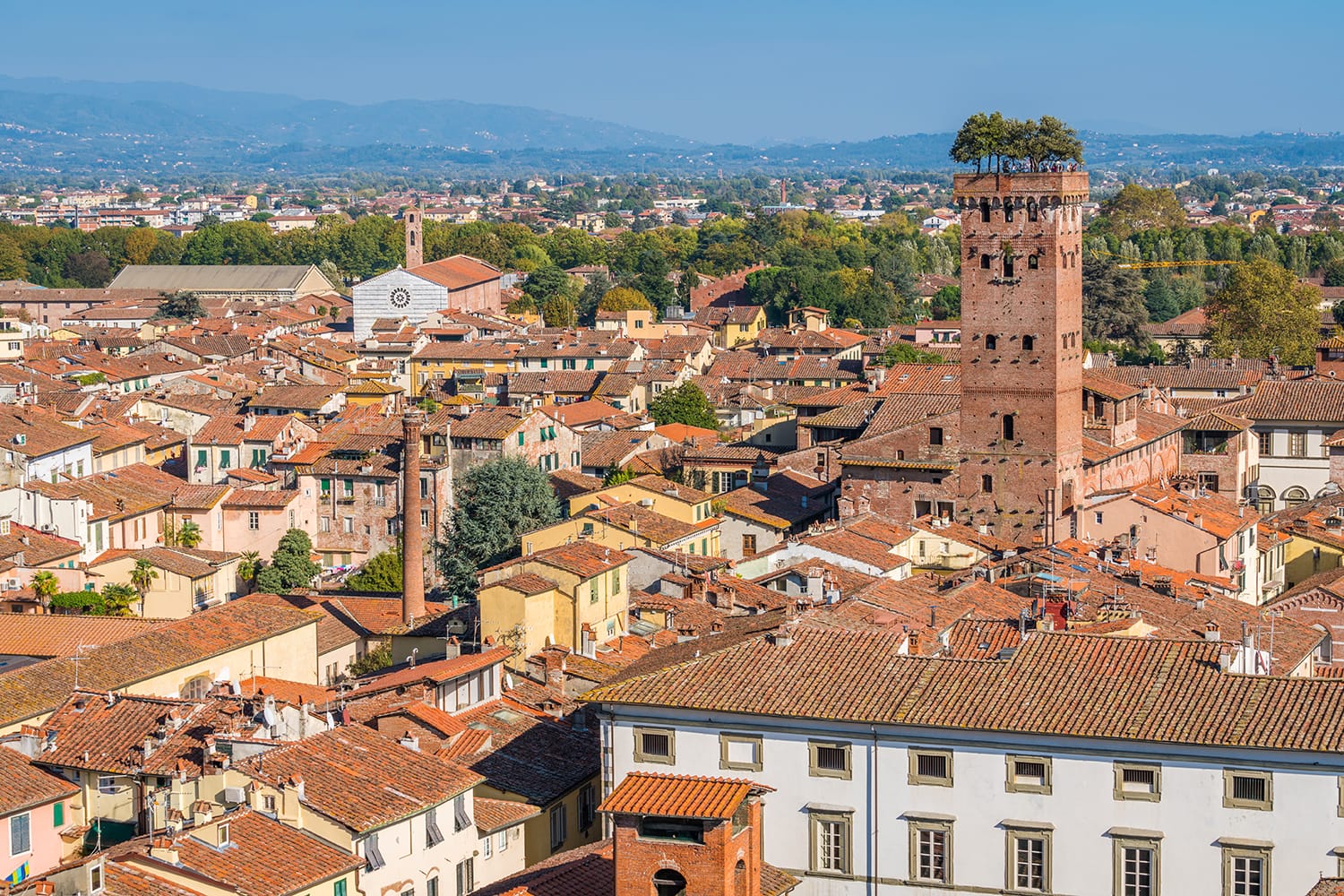 Vista panorámica en Lucca, con la famosa Torre Guinigi.  Toscana, Italia.