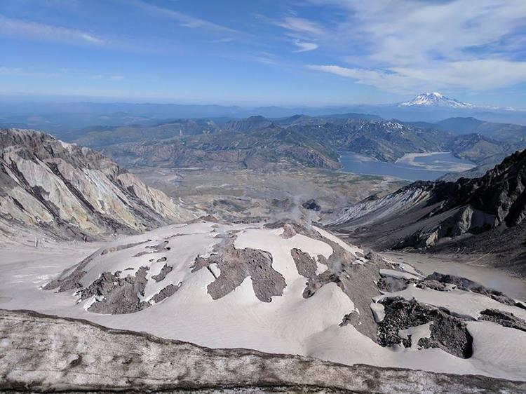 La llanura de piedra pómez del Monte St. Helens alberga 33 estudios de investigación.  Crédito de la imagen: Heidi Brown / Cascade Forest Conservancy