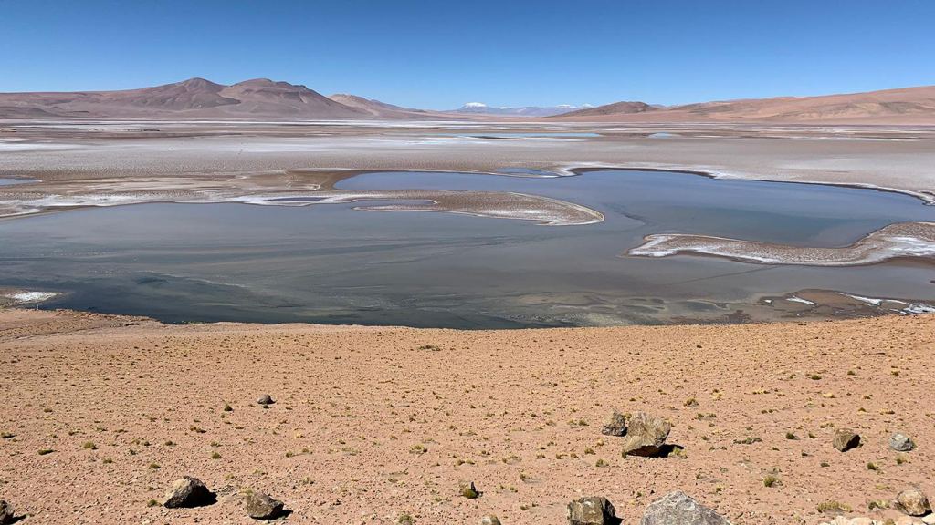 Este es el salar de Quisquiro en el Altiplano de América del Sur.  Las salinas, o salares, en el Altiplano contienen gruesas capas de sal brillante que han protegido el hielo glaciar enterrado debajo.  El Altiplano a menudo se considera un análogo del antiguo Marte.  Crédito de la imagen: NASA/Maksym Bocharov