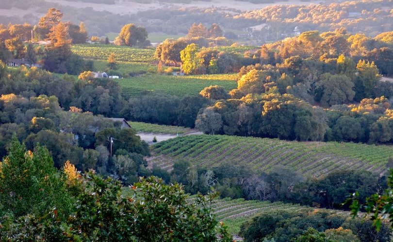 Sonoma Wine Country